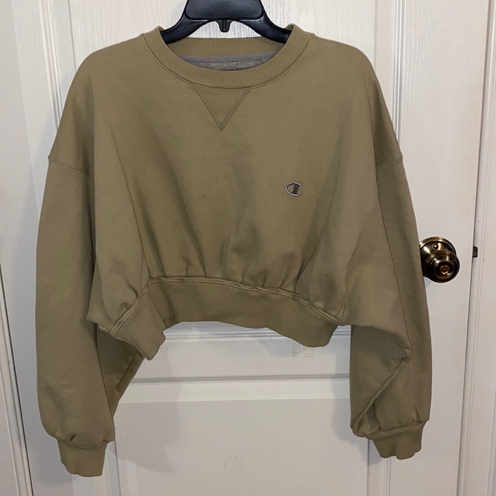 Champion cropped hoodie